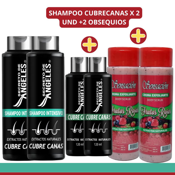 SHAMPO CANAS SECRETOX 2UN+4OBSEQ