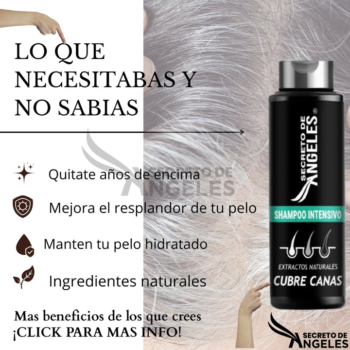 SHAMPO CANAS SECRETOX 2UN+4OBSEQ