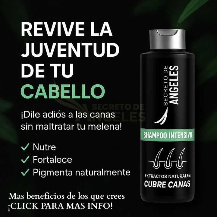 SHAMPO CANAS SECRETOX 2UN+4OBSEQ