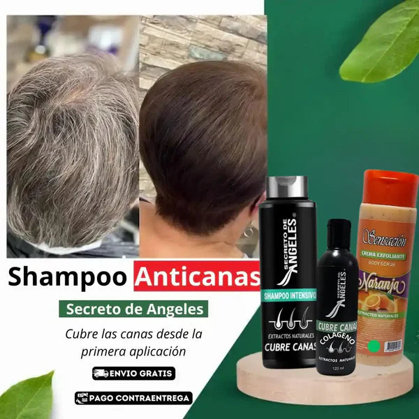 SHAMPO CANAS SECRETOX 2UN+4OBSEQ