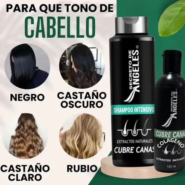 SHAMPO CANAS SECRETOX 2UN+4OBSEQ